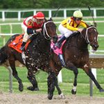 Horse_race,_Arlington_International