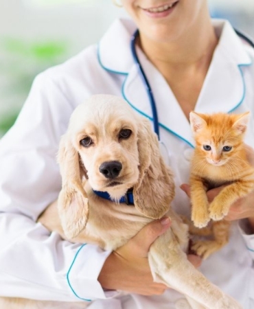 İzmir Veteriner (1)