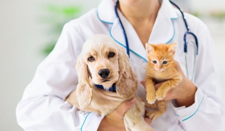 İzmir Veteriner (1)