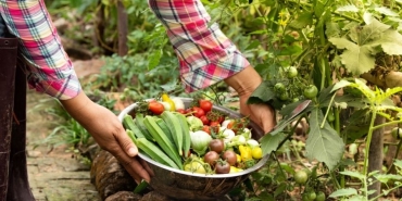 Organik Tarım Danışmanlığı (1)