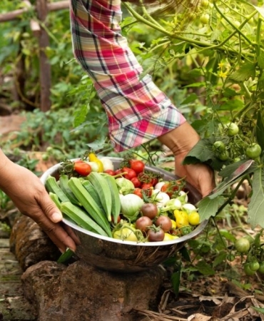 Organik Tarım Danışmanlığı (1)