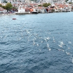 avrupa-triatlon-balkan-sampiyonasi-heyecani-mudanyada-yasanacak.jpg