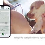 cankaya-belediyesinin-dijital-yuzu-cankapp-yayinda.jpg