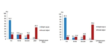 Girişim Özelliklerine Göre Dış Ticaret İstatistikleri, 2025