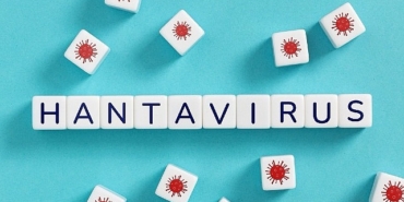 hantavirusun-insandan-insana-yayilim-riski-dusuk.jpg