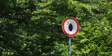 kene-isiriginda-erken-mudahale-hayat-kurtariyor.jpg