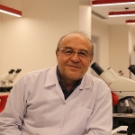 pestisitler-ari-nufusunu-da-tehdit-ediyor-arilarin-yok-olusu-zincirleme-bir-cokuse-sebep-olur.jpg