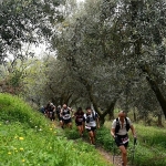 turkiyenin-en-uzun-maratonuna-sayili-saatler.jpg
