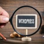 wordpess uzmanı (2)