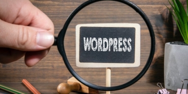 wordpess uzmanı (2)