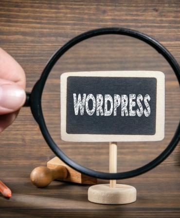 wordpess uzmanı (2)