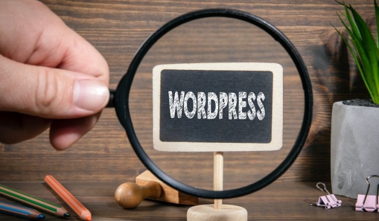 WordPress ile Dijital Başarıya Giden Yol